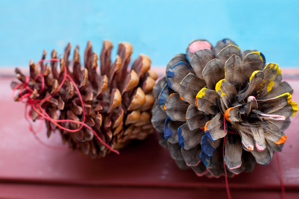 pinecones-kindergarten-photography-melbourne.jpg